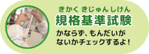 規格基準試験：かならず、もんだいがないかチェックするよ！